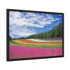93855-161.jpg Free Tulip Garden Framed Poster