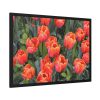 93855-169.jpg Garden Plant Framed Poster