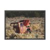 Old Ford Pickup Truck Framed Poster