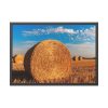 93855-228.jpg Straw Bales Framed Poster