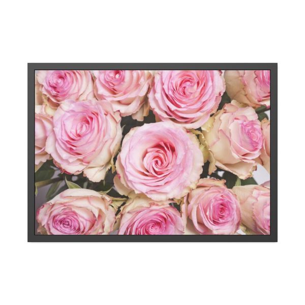 93855-256.jpg Rose Pink Roses Framed Poster