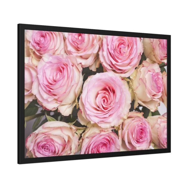 93855-257.jpg Rose Pink Roses Framed Poster