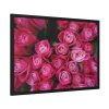 Flowers Rose Pink Bouquet  Framed Poster