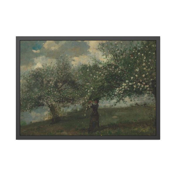 Girl Picking Apple Blossoms by Winslow Homer Framed Poster