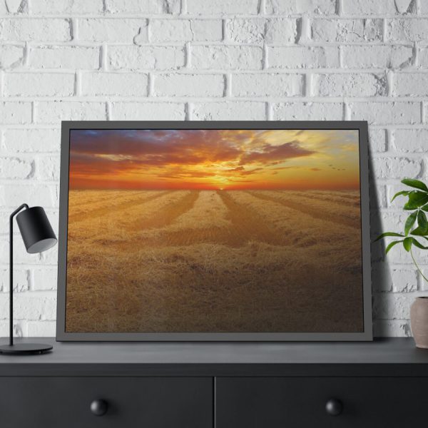 93855-51.jpg Wheat field Framed Poster