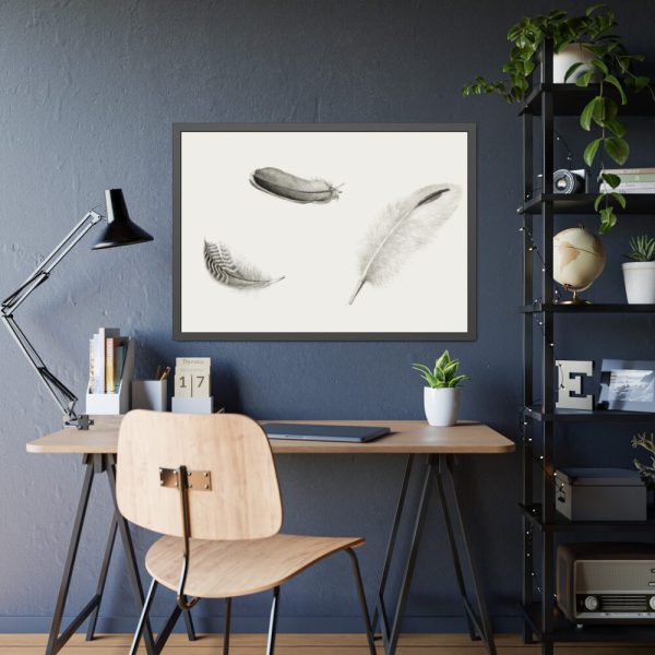 Study of Three Feathers Framed Poster