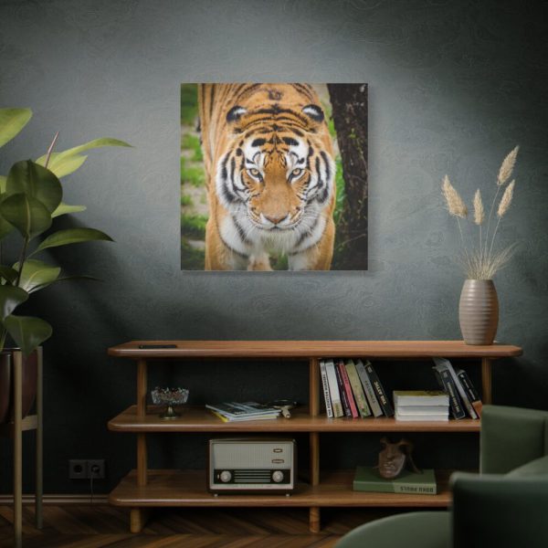 Siberian Tiger Standard Canvas
