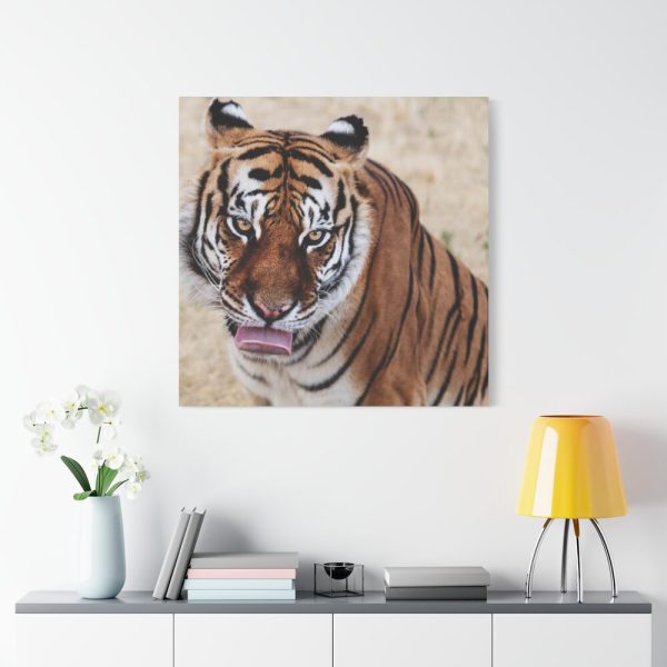 101419-2.jpg Tiger at the Wild Animal Sanctuary Standard Canvas