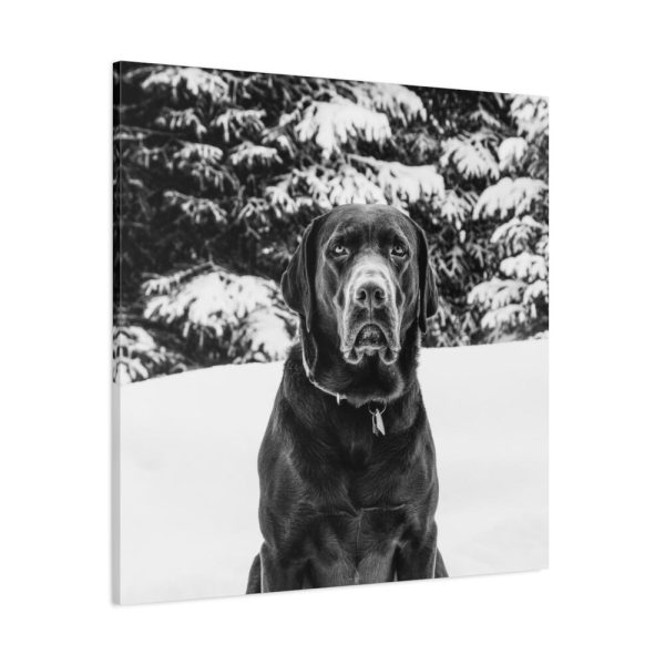 101419-20.jpg Puka the Chocolate Lab by Carol M. Highsmith Standard Canvas