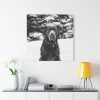 101419-22.jpg Puka the Chocolate Lab by Carol M. Highsmith Standard Canvas