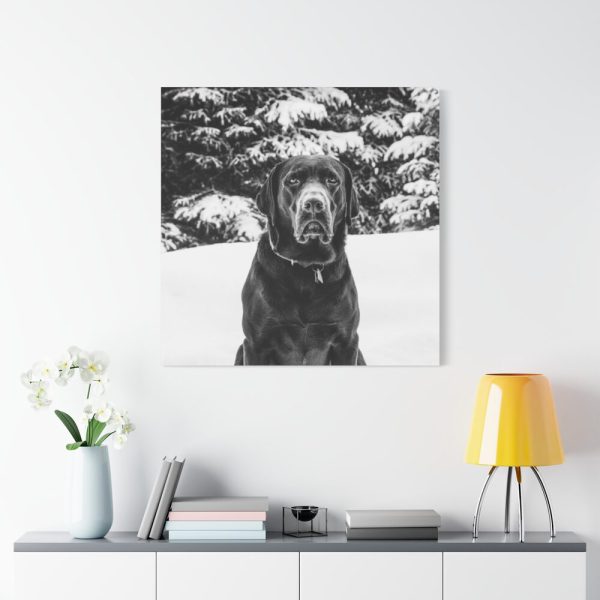 101419-22.jpg Puka the Chocolate Lab by Carol M. Highsmith Standard Canvas