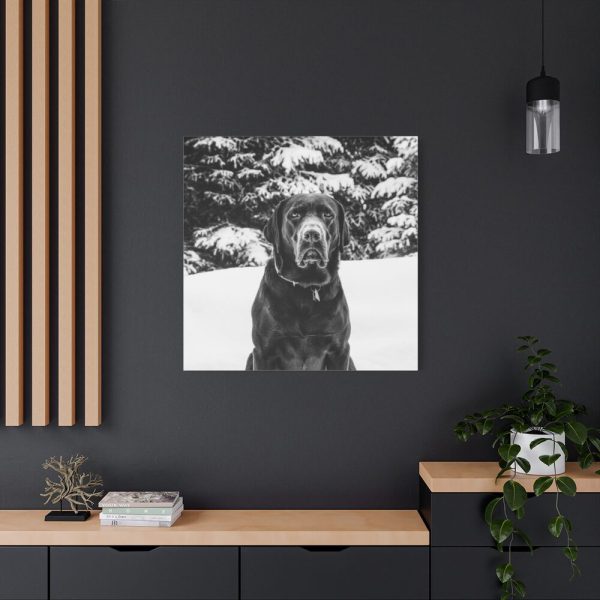 101419-23.jpg Puka the Chocolate Lab by Carol M. Highsmith Standard Canvas