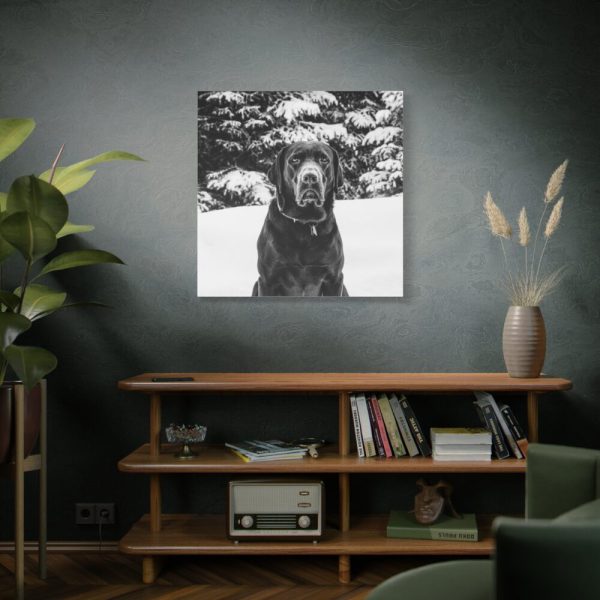 101419-24.jpg Puka the Chocolate Lab by Carol M. Highsmith Standard Canvas