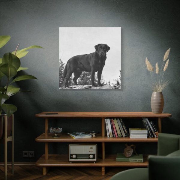 101419-34.jpg Black Labrador Dog Standard Canvas