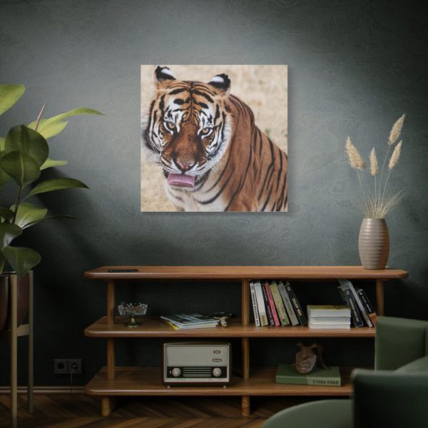 101419-4.jpg Tiger at the Wild Animal Sanctuary Standard Canvas