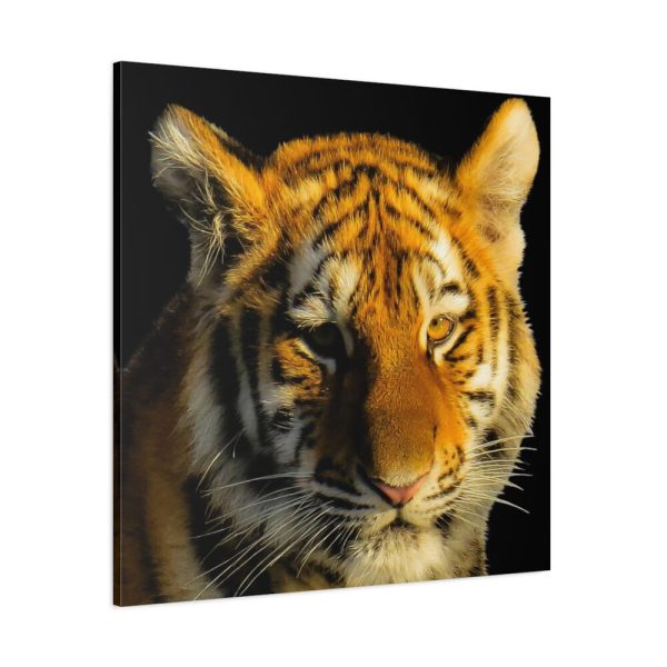 101419-5.jpg Tiger Look Standard Canvas
