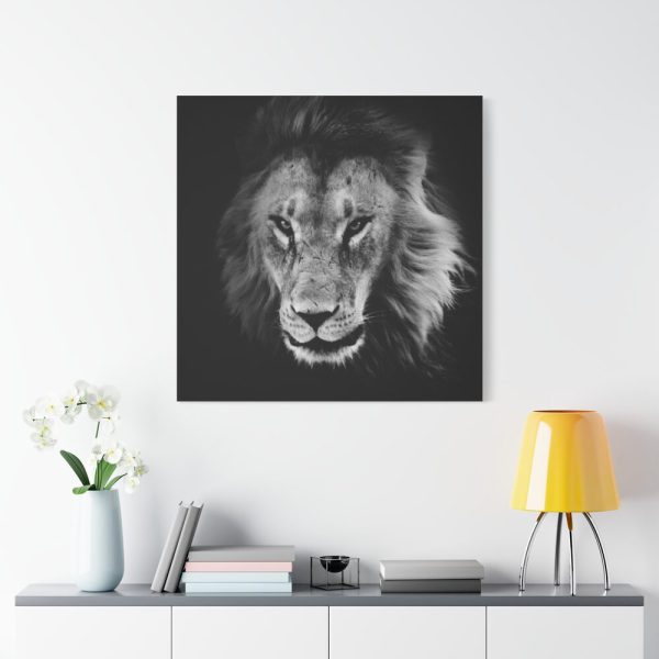 Barbary Lion Face Closeup Standard Canvas