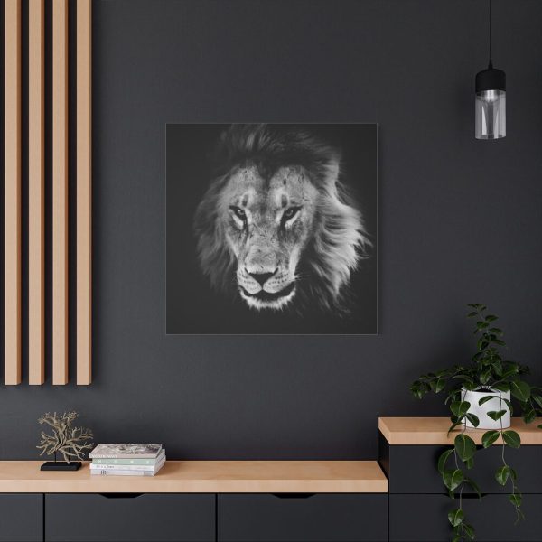 Barbary Lion Face Closeup Standard Canvas