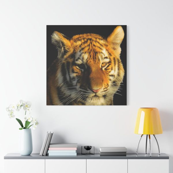 101419-7.jpg Tiger Look Standard Canvas