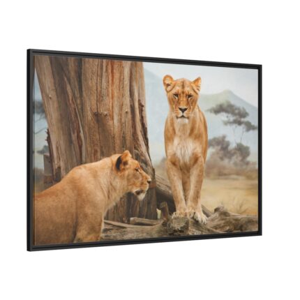 Female Lion Framed Canvas