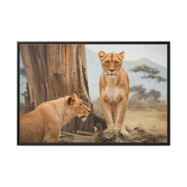 Female Lion Framed Canvas