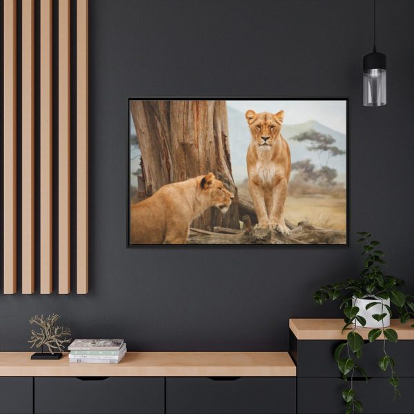 Female Lion Framed Canvas