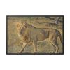 88289-111.jpg Lion Wild Cat Framed Canvas