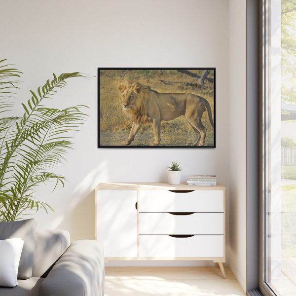 88289-113.jpg Lion Wild Cat Framed Canvas