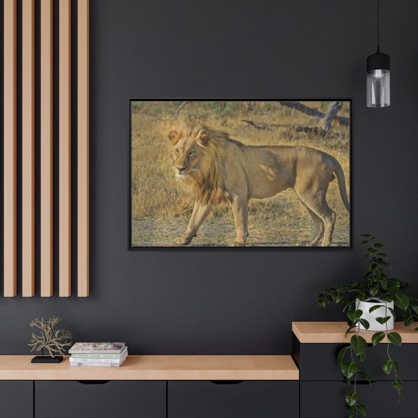 88289-114.jpg Lion Wild Cat Framed Canvas