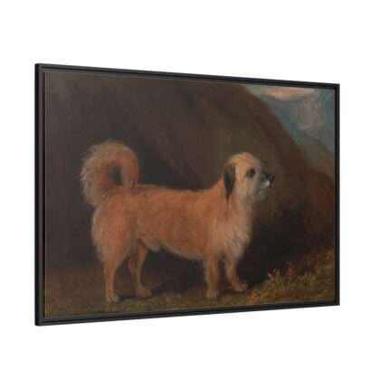 A Dandie Dinmont Terrier Framed Canvas