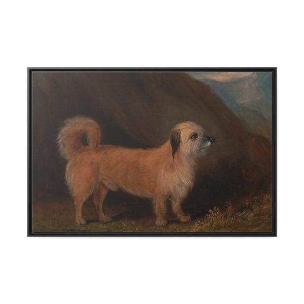88289-146.jpg A Dandie Dinmont Terrier Framed Canvas