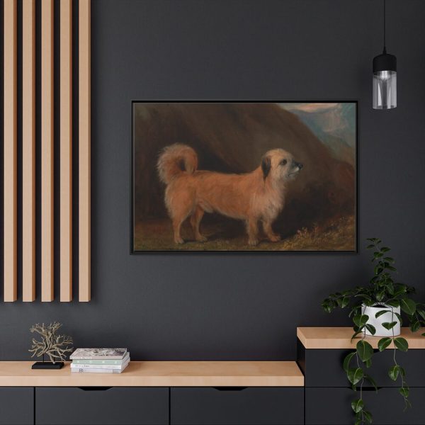 88289-149.jpg A Dandie Dinmont Terrier Framed Canvas