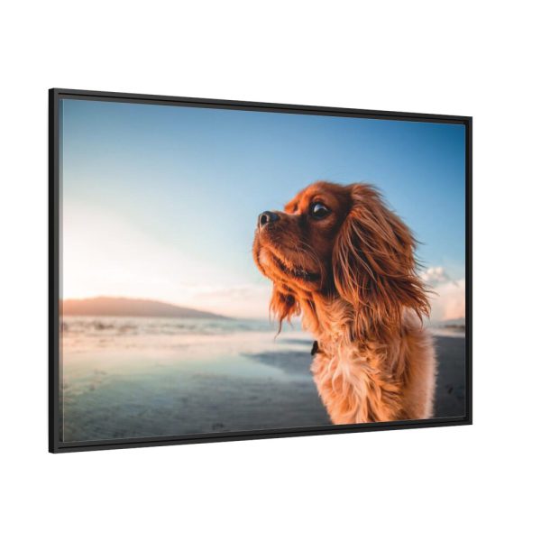88289-185.jpg Brown Puppy on the Beach Framed Canvas