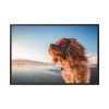 88289-186.jpg Brown Puppy on the Beach Framed Canvas