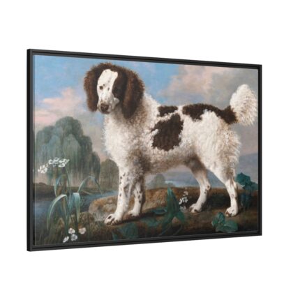Brown and White Norfolk or Water Spaniel by George Stubbs Framed Canvas