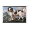 88289-201.jpg Brown and White Norfolk or Water Spaniel by George Stubbs Framed Canvas