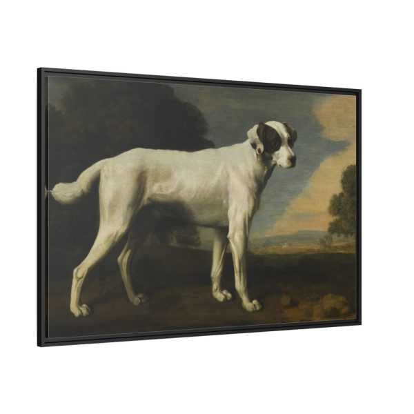 White Dog Painting By George Stubbs Framed Canvas
