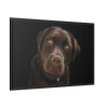 Labrador Retriever Framed Canvas
