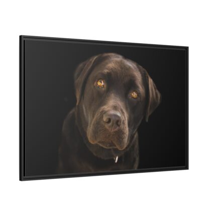Labrador Retriever Framed Canvas