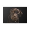 Labrador Retriever Framed Canvas