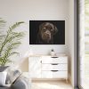 Labrador Retriever Framed Canvas