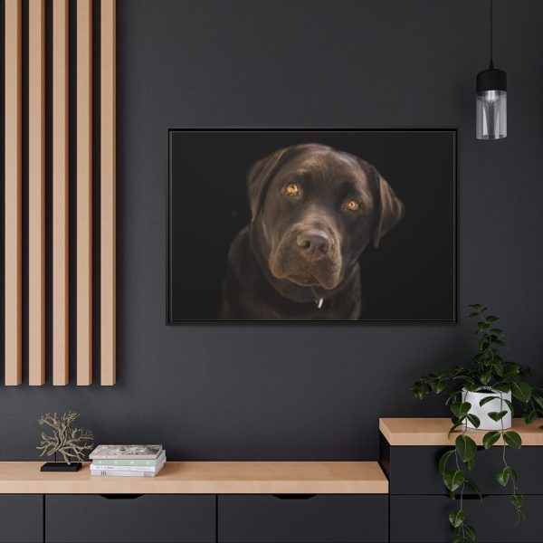 Labrador Retriever Framed Canvas