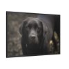 88289-315.jpg Black Labrador Retriever Framed Canvas