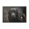 88289-316.jpg Black Labrador Retriever Framed Canvas