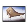 88289-321.jpg Sleep by Salvador Dali Framed Canvas