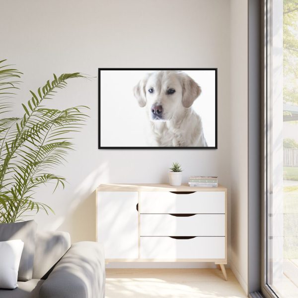 88289-338.jpg White Labrador Retriever Framed Canvas