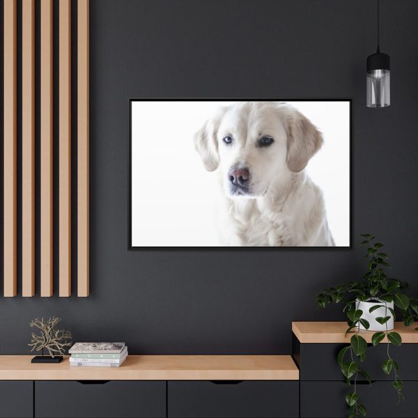 88289-339.jpg White Labrador Retriever Framed Canvas