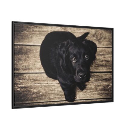 Black Labrador Dog Sitting on Wooden Floor Framed Canvas