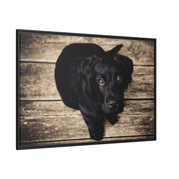 88289-340.jpg Black Labrador Dog Sitting on Wooden Floor Framed Canvas
