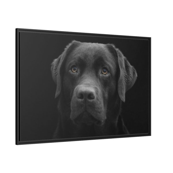88289-345.jpg Black Dog Face Close Up Framed Canvas